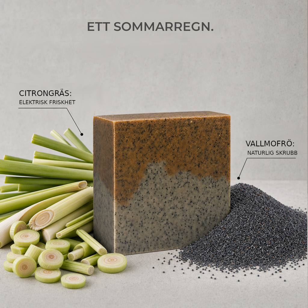 ETT SOMMARREGN